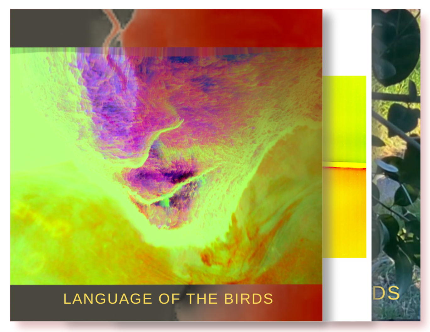 Chem XP - Language of the Birds - KiTalbum