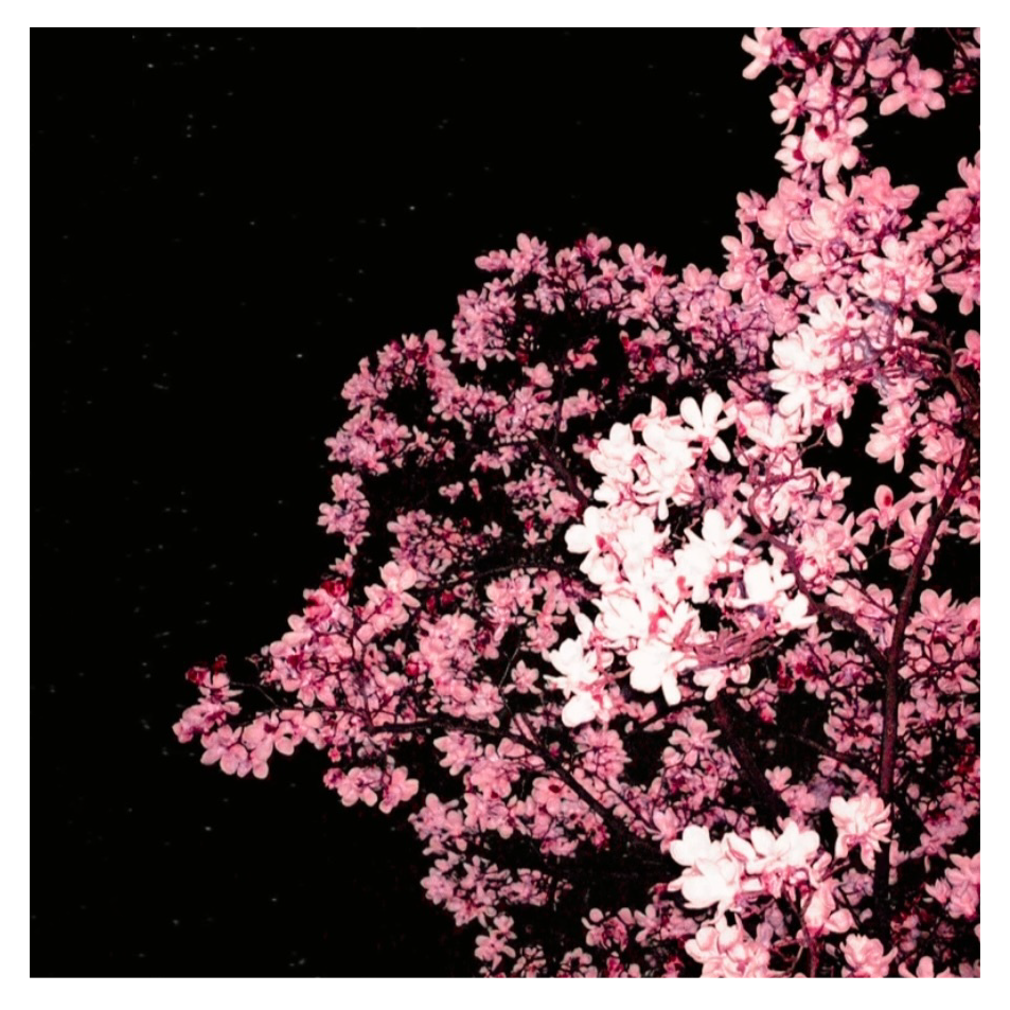 남궁 원 - 우리의 삶 - KiTalbum