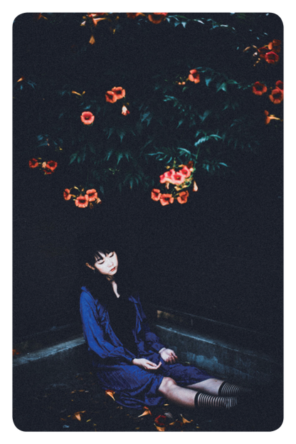 숲:혠(Sup:hen) - Princess of Persia - KiTalbum