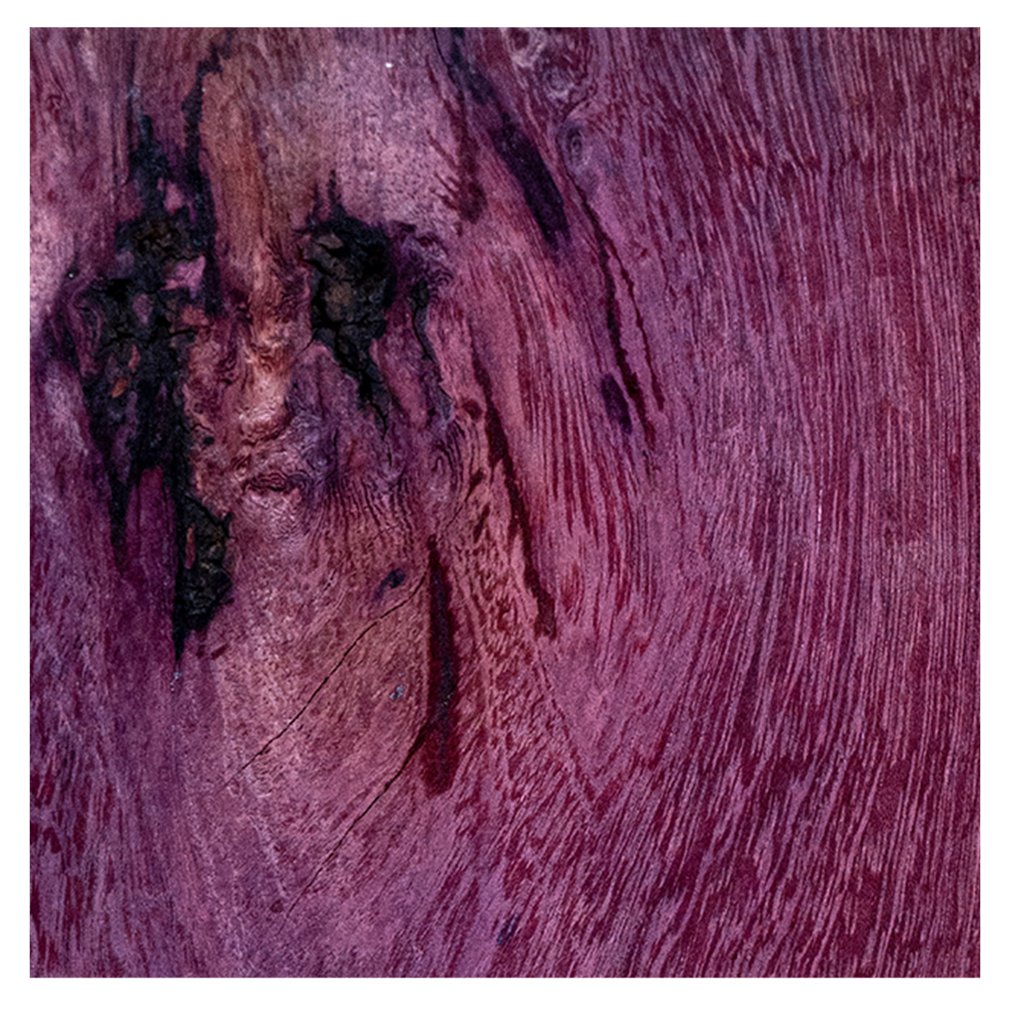 비조(VIZO) - PURPLE HEART - KiTalbum