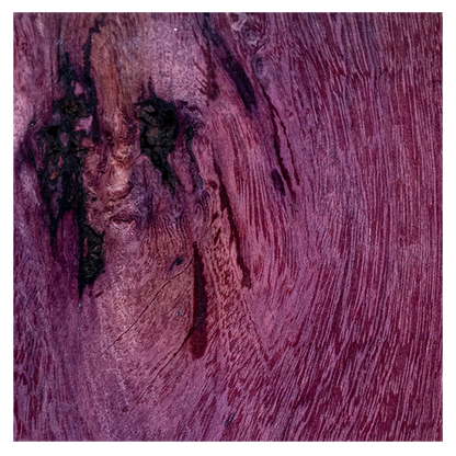 비조(VIZO) - PURPLE HEART - KiTalbum