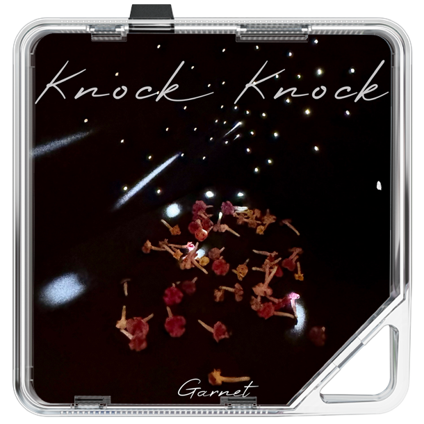 가닛 - Knock Knock - KiTalbum
