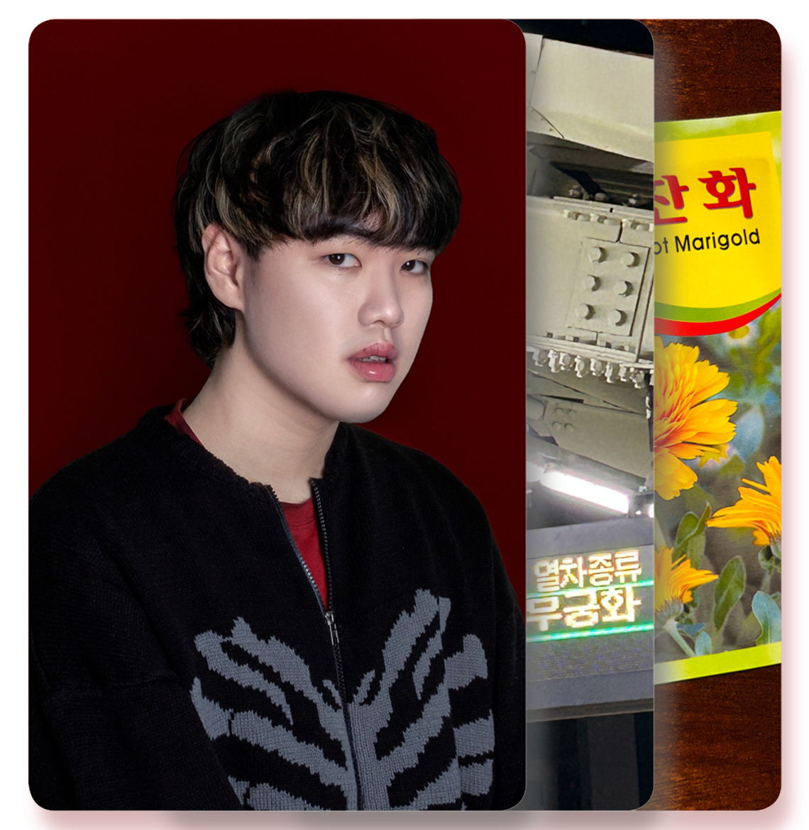 서울달 (SEOULDAL) - 금잔화 (金盞花) - KiTalbum