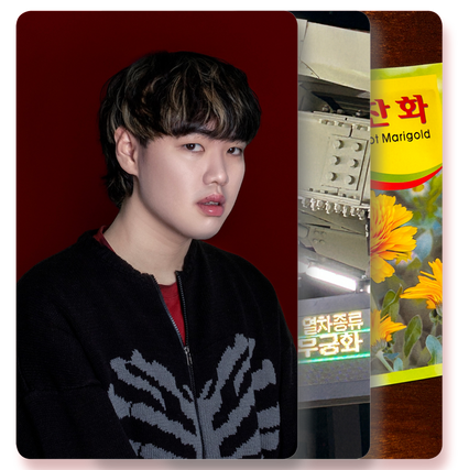 서울달 (SEOULDAL) - 금잔화 (金盞花) - KiTalbum