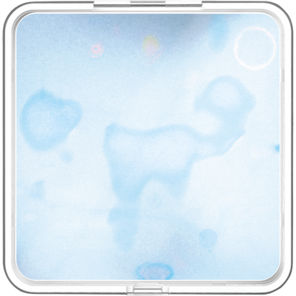 HOSHi - Blue Wave - KiTalbum