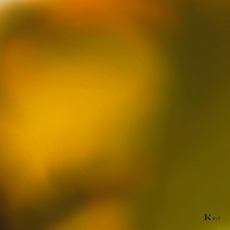 The HARRY(더 해리) - 사실은 말야 - KiTalbum