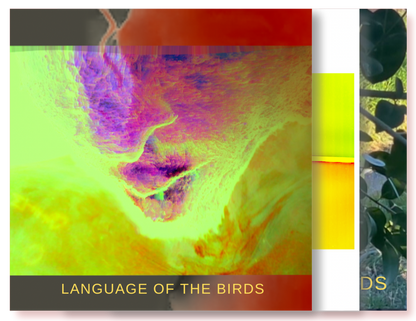 Chem XP - Language of the Birds - KiTalbum