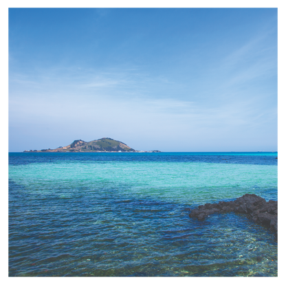 투어리스트 (The Tourist) - 게스트 하우스 : 제주도 로맨스 (Guest House : Jeju Romance) - KiTalbum