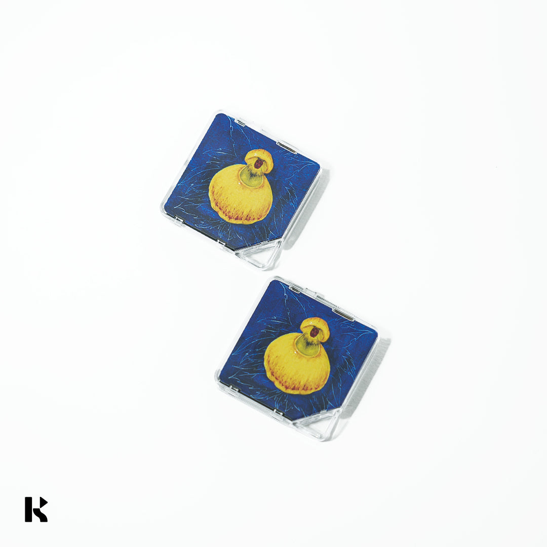 희비(HUIBEE) - bloom - KiTalbum