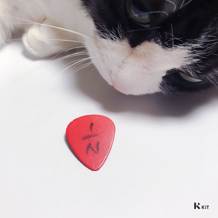엔분의일 (1/N) - FEVER - KiTalbum