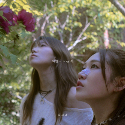 김새얀(Seyan Kim) - 나만의 작은 새 - KiTalbum