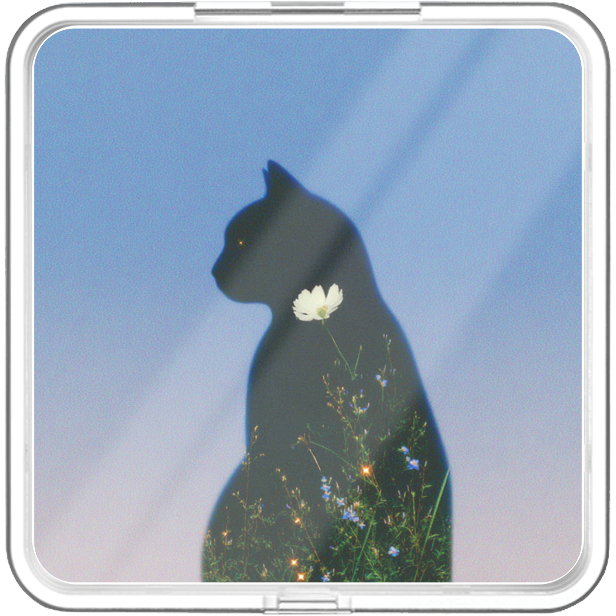 김새얀(Seyan Kim) - Beautiful Disease - KiTalbum