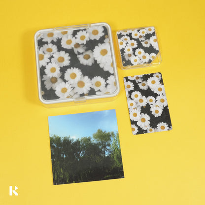 autoummant - I’m in love - KiTalbum