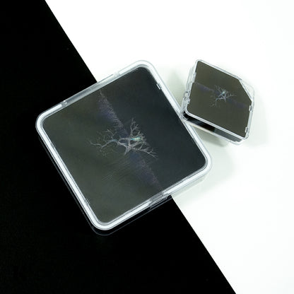도스 퀄리티 (Dos Quality) - DIARY QUALITY - KiTalbum