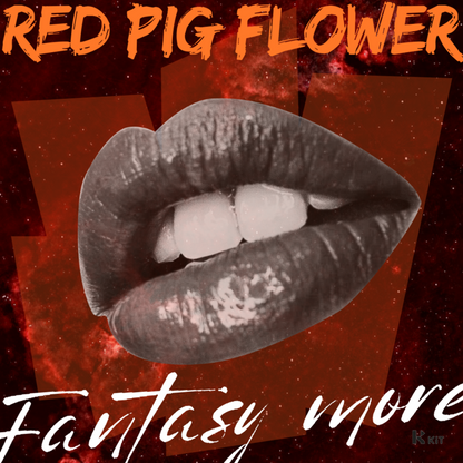 Red Pig Flower - Fantasy More Feat.Selin,Nat Ho,Uyeon,Rachael Amos,Gina - KiTalbum