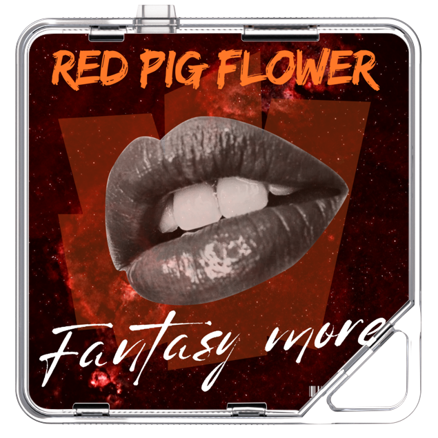 Red Pig Flower - Fantasy More Feat.Selin,Nat Ho,Uyeon,Rachael Amos,Gina - KiTalbum