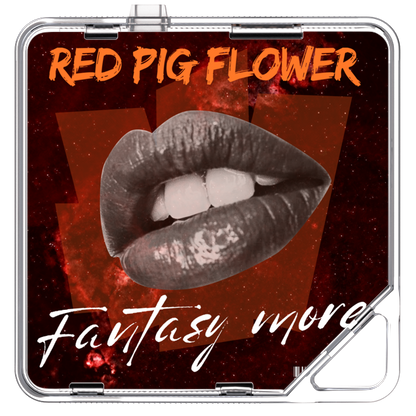 Red Pig Flower - Fantasy More Feat.Selin,Nat Ho,Uyeon,Rachael Amos,Gina - KiTalbum