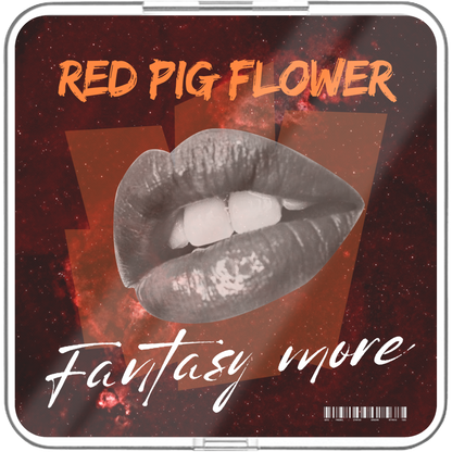 Red Pig Flower - Fantasy More Feat.Selin,Nat Ho,Uyeon,Rachael Amos,Gina - KiTalbum