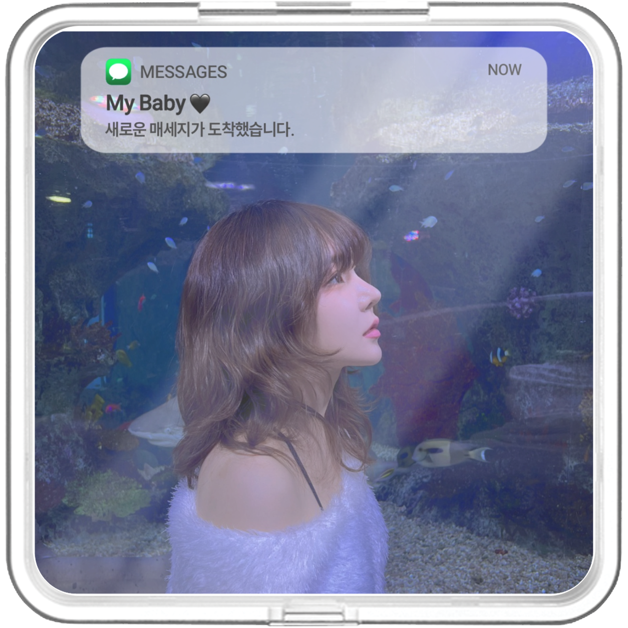 원아(WONA) - Highs & Lows - KiTalbum