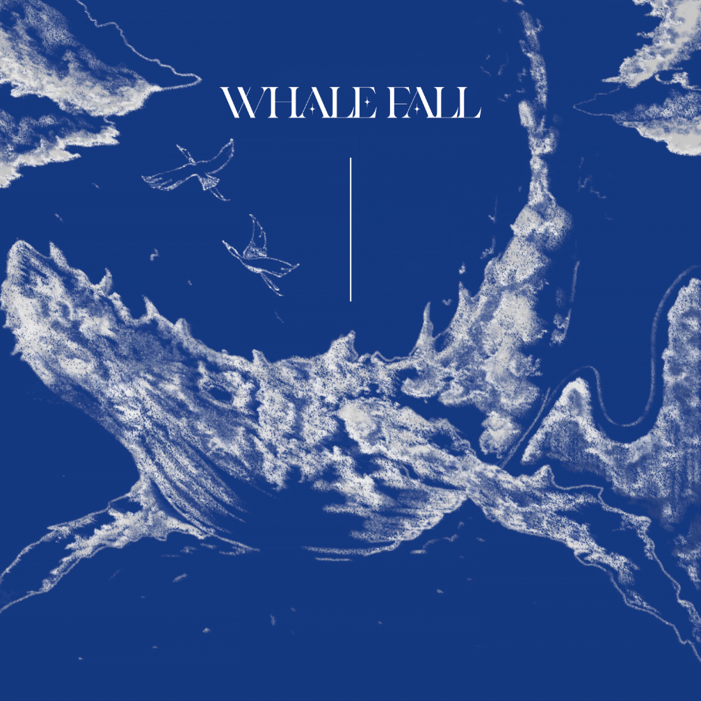 문시월 - WHALE FALL - KiTalbum