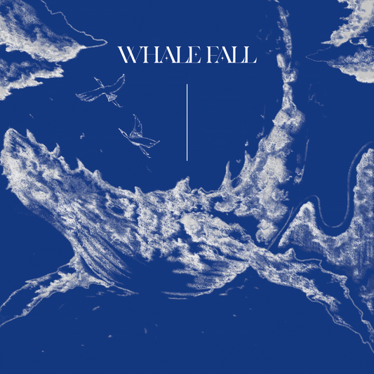 문시월 - WHALE FALL - KiTalbum
