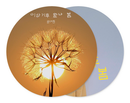 윤대천 (DC Yun) - 이상기후 왔나 봄 - KiTalbum