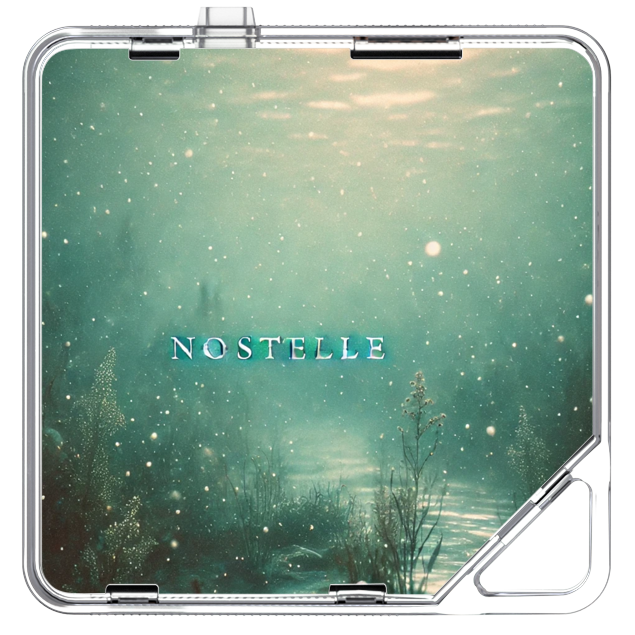 Nostelle - Forest Memory - KiTalbum