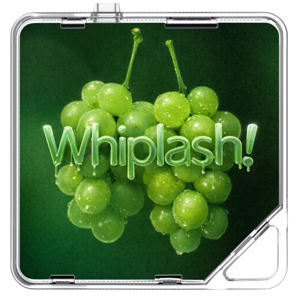 Yusiha(유시하) - Whiplash! - KiTalbum