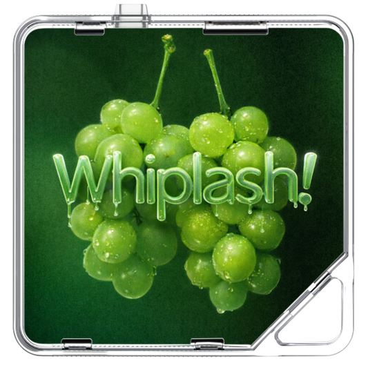 Yusiha(유시하) - Whiplash! - KiTalbum