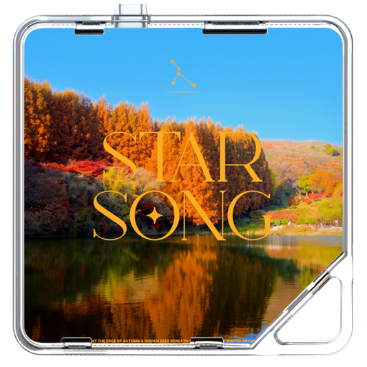 김다루 (KimDaru) - 별송이 (Star Song) - KiTalbum