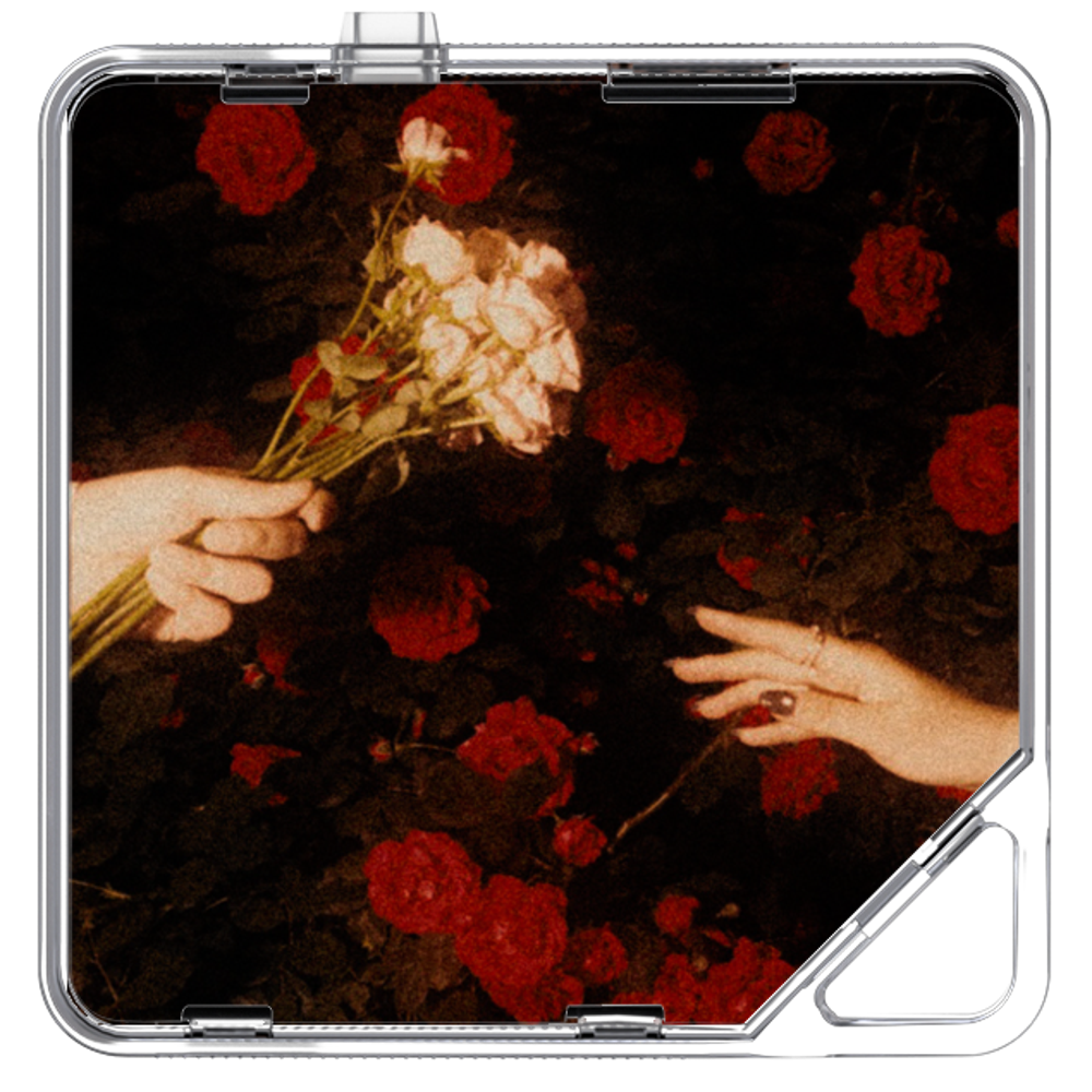 은연하게 - a Rose - KiTalbum