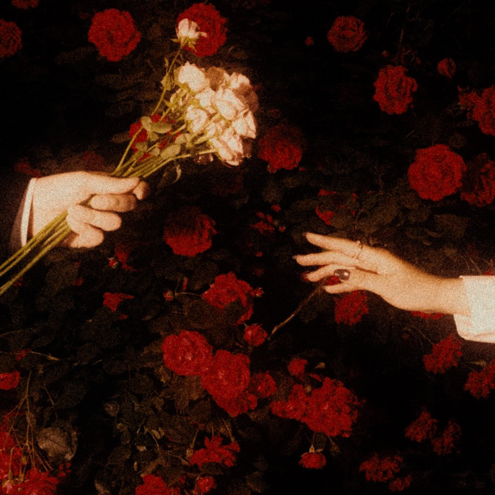 은연하게 - a Rose - KiTalbum